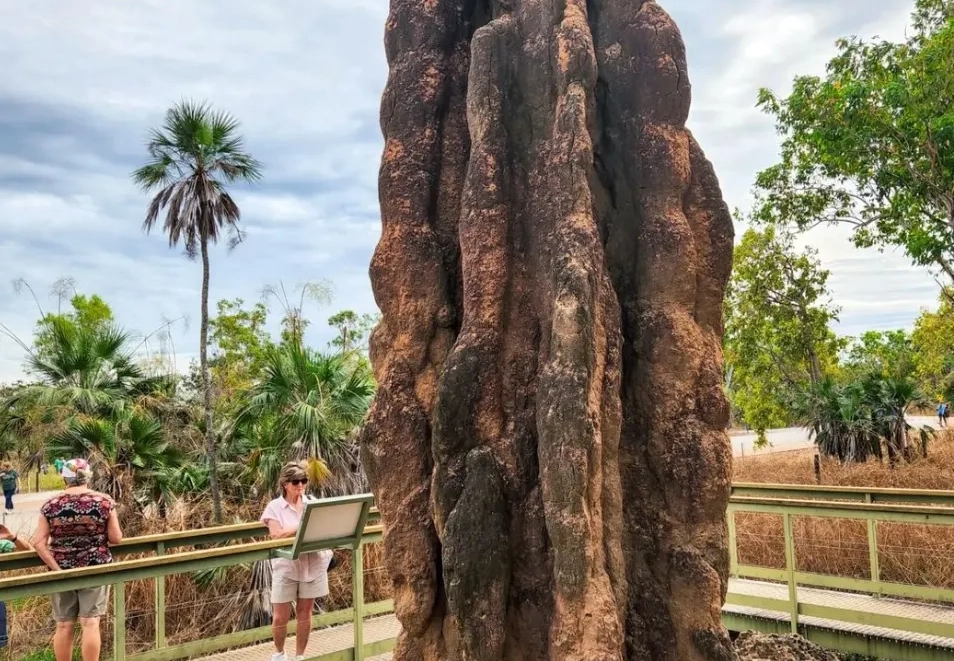 Exploring the Magnetic Termite Mounds of Litchfield National Park