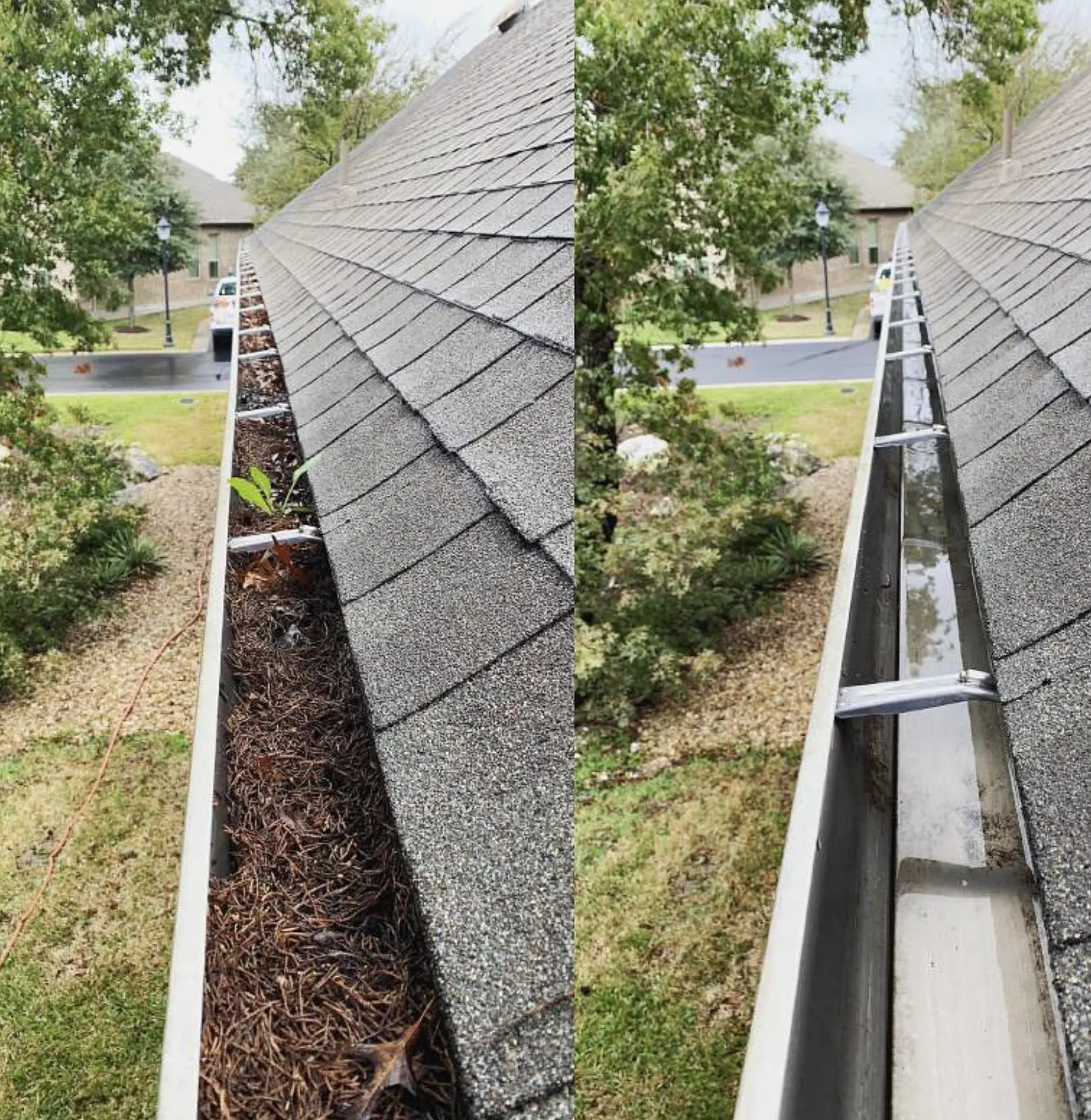 Gutter and Roof Cleaning