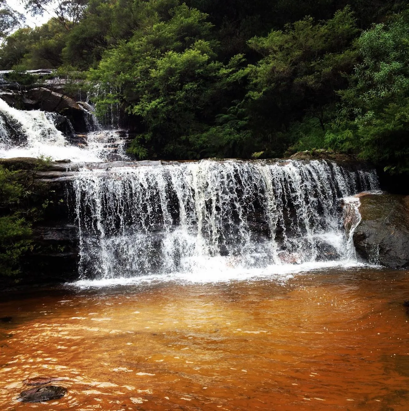 Leura Cascades
