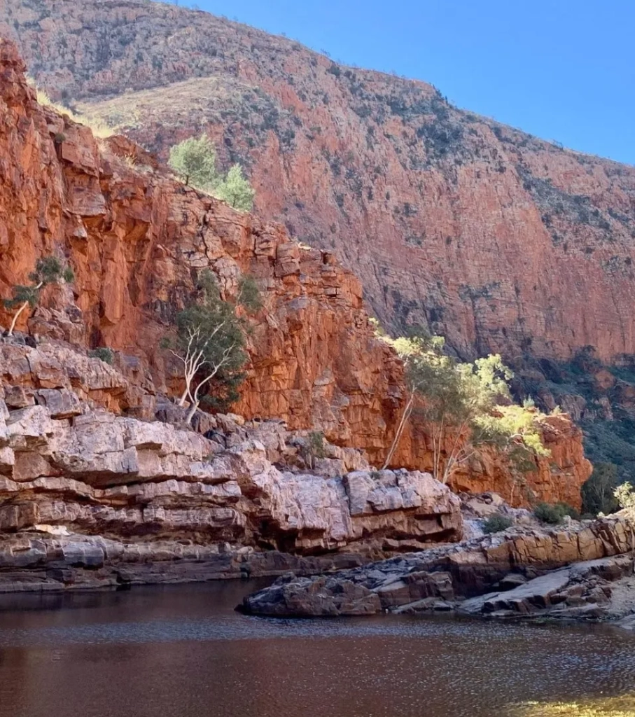 Ormiston Gorge Ghost Gum Walk