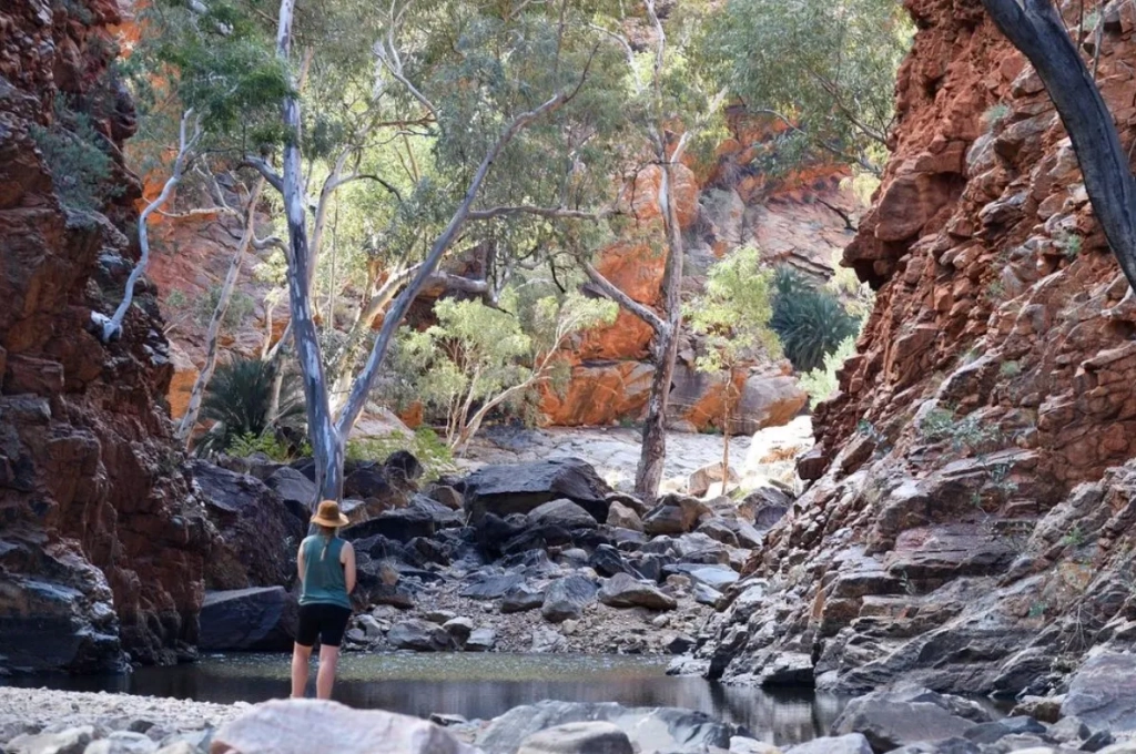 Serpentine Gorge