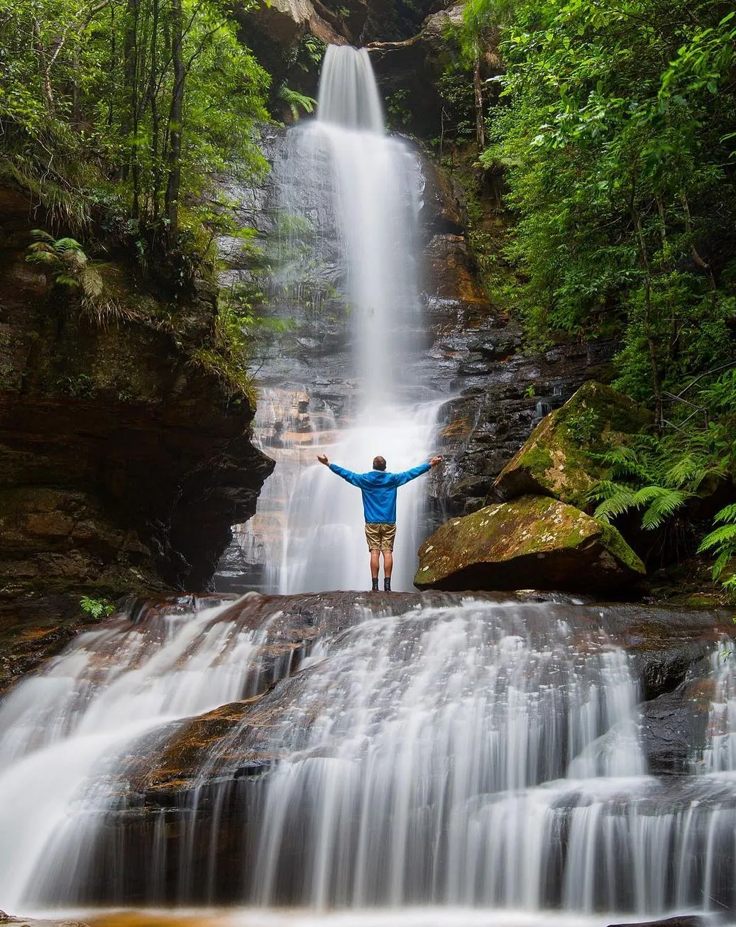 Spring, The Season of Quiet Waterfalls, Blooming Beauty