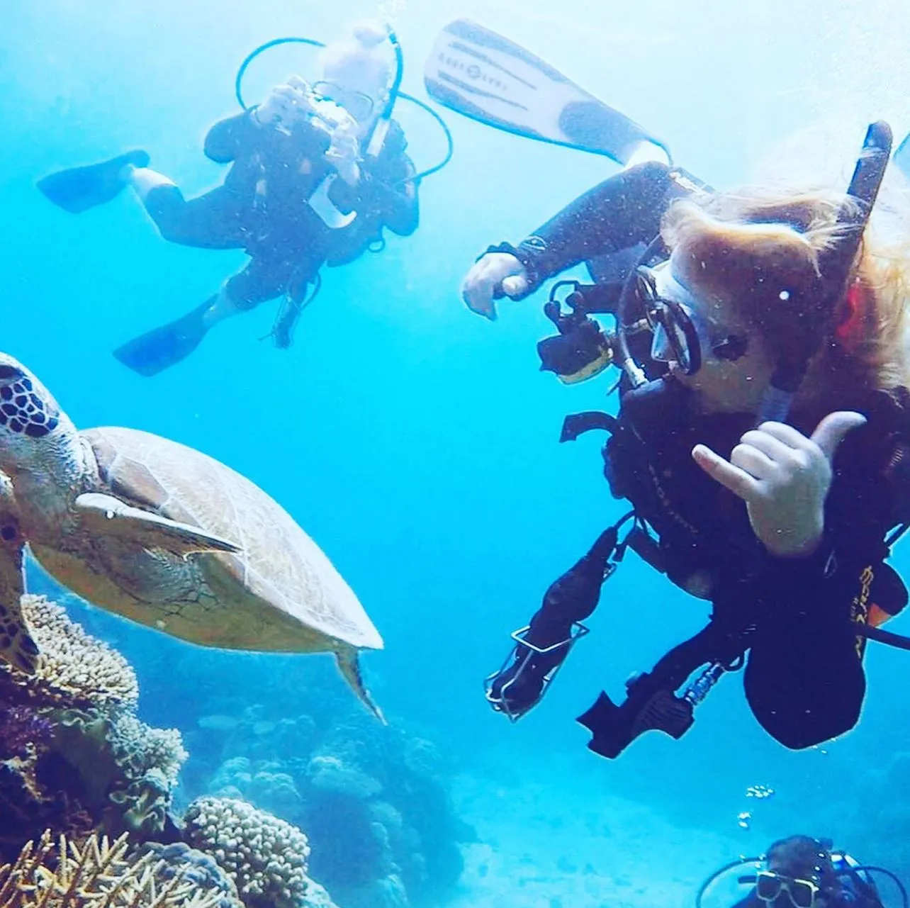 Salon Chloe | What Is The Best Diving Season On The Great Barrier Reef? The Dry Season Advantage (May to October)