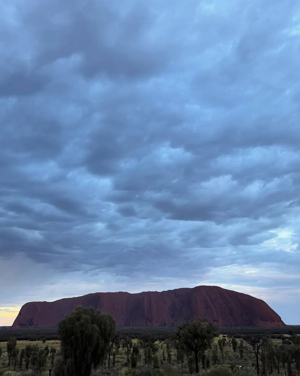 Salon Chloe | DIY vs Guided — What Do First-Timers Actually Prefer in Uluru? The Real Benefits of Travelling with Local Experts