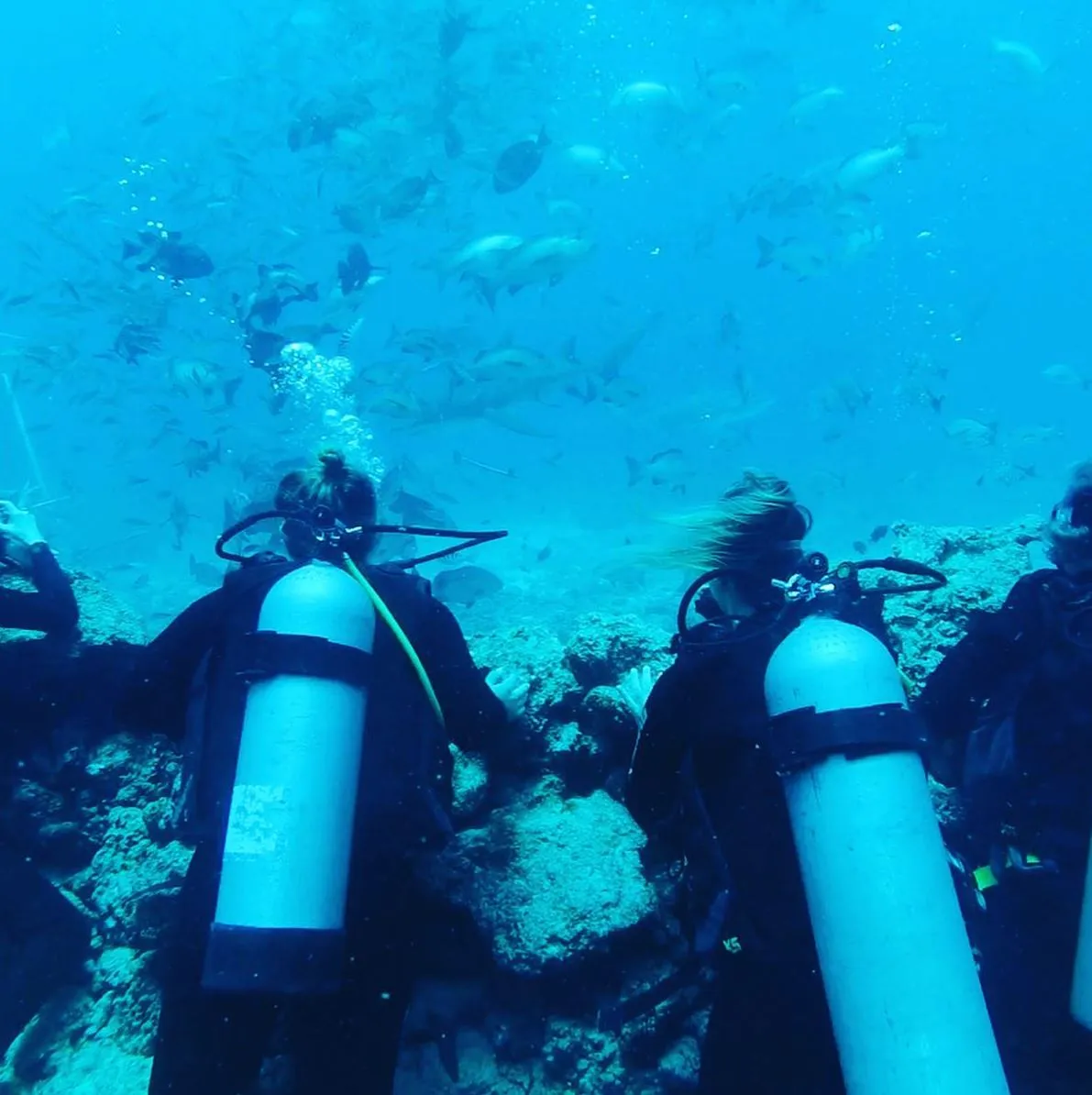 Salon Chloe | What Is The Best Diving Season On The Great Barrier Reef? The Wet Season Trade-Off (November to April)