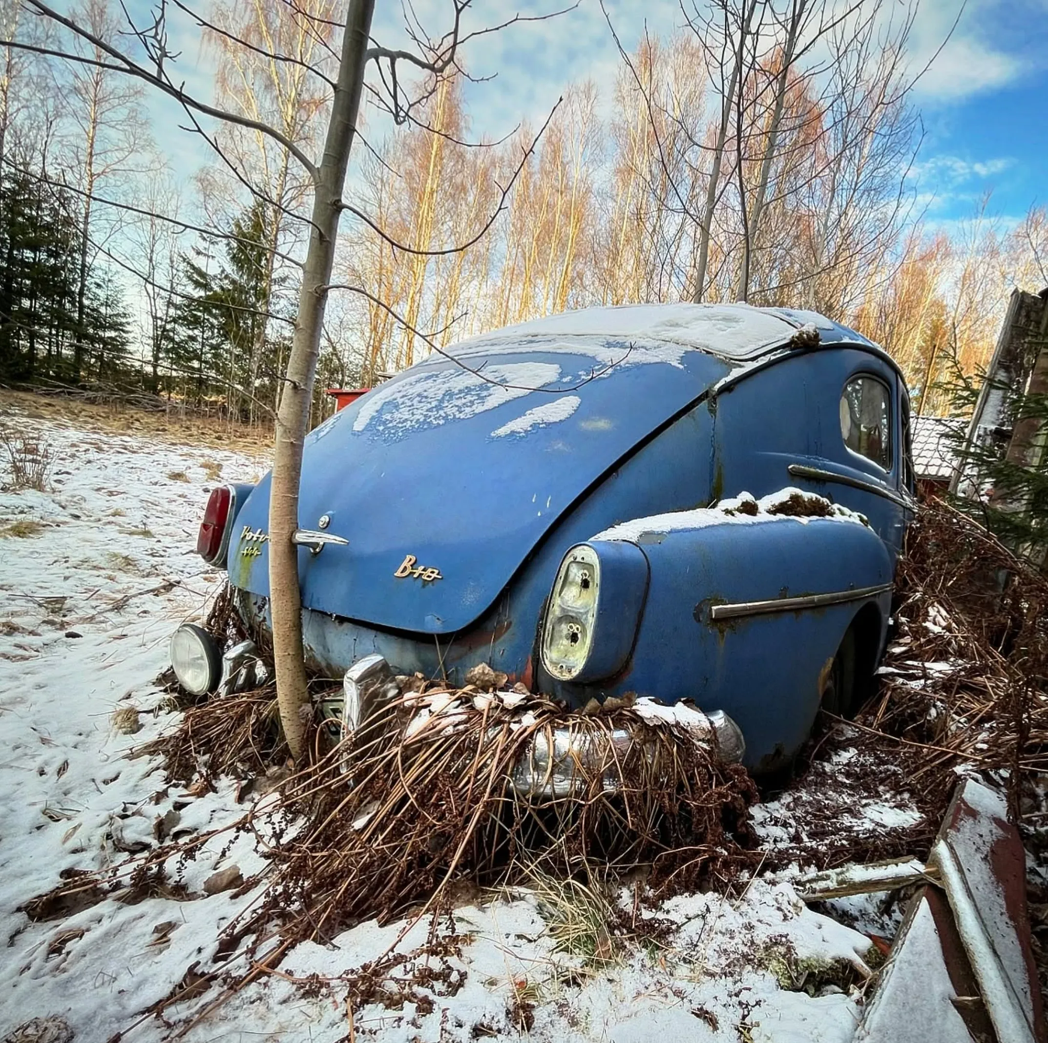 Salon Chloe | What used cars should to avoid in Australia? car disposal services