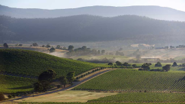 Salon Chloe | Unveiling the Splendor of Yarra Valley: Wine, Nature & Culture Await