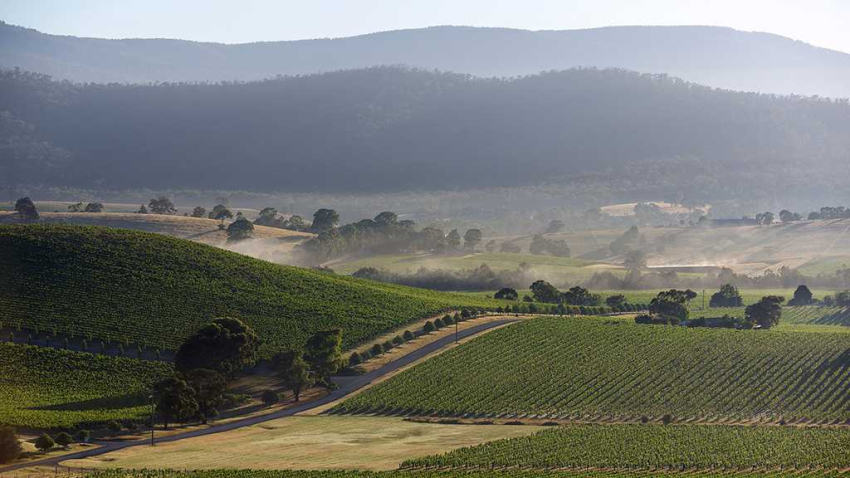 Salon Chloe | Unveiling the Splendor of Yarra Valley: Wine, Nature & Culture Await Salon Chloe | Unveiling the Splendor of Yarra Valley: Wine, Nature & Culture Await