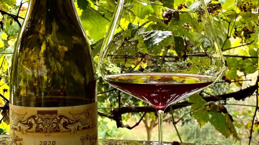 Salon Chloe | Yarra Valley & Melbourne Winery Tours | Ultimate Wine Tasting Guide Salon Chloe | Yarra Valley & Melbourne Winery Tours | Ultimate Wine Tasting Guide
