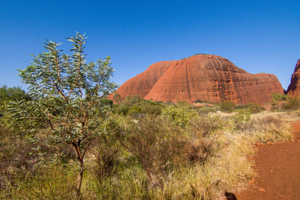 Majestic Uluru: Discover the Wonders of Australia's Outback on a 3-Day Expedition