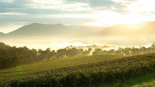 Salon Chloe | Yarra Valley & Melbourne Winery Tours | Ultimate Wine Tasting Guide