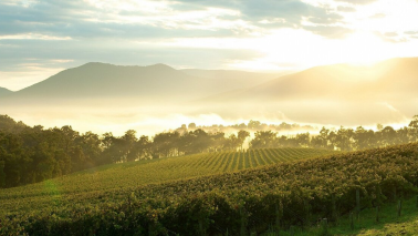 Salon Chloe|“Yarra Valley Wine Tours: A Comprehensive Guide to Australia’s Best Wineries and Activities”