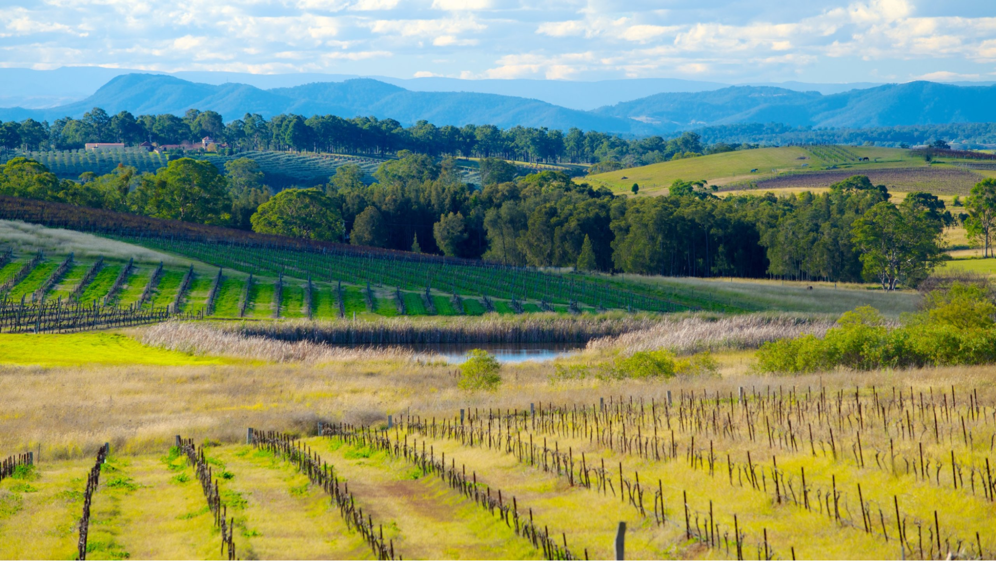 Discover the Beauty of Yarra Valley with a Day Trip from Melbourne